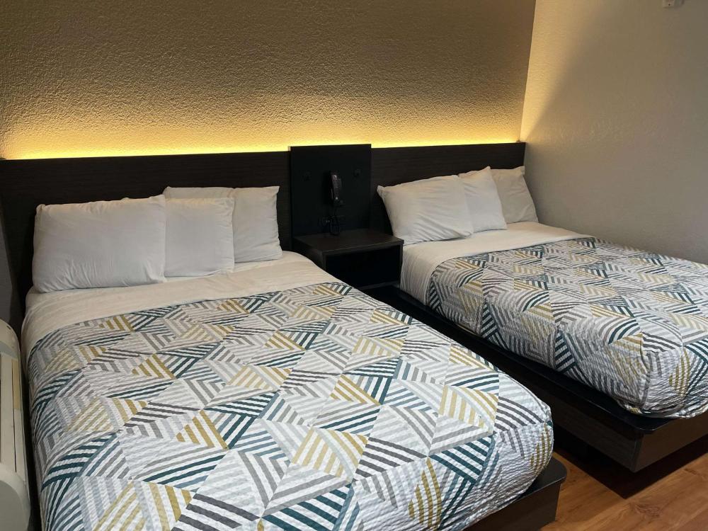 2 Queen Beds, Mini Fridge interior